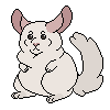 Pink & White Chinchilla - 400 CTs