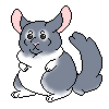 Violet Chinchilla - 400 CTs