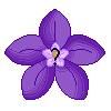Seasonal Trait Change - 2500 CTs/$25.00
